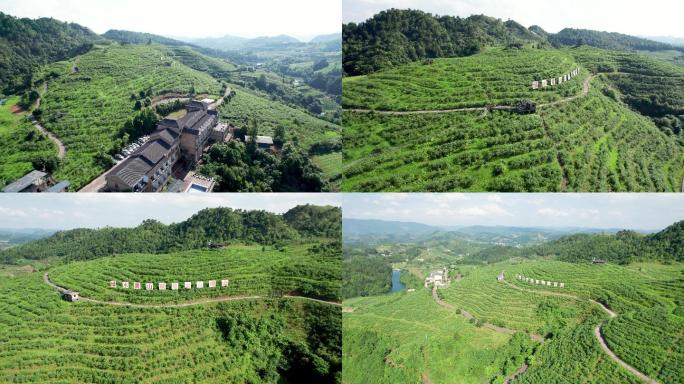 麻江蓝梦谷-金山银山标语