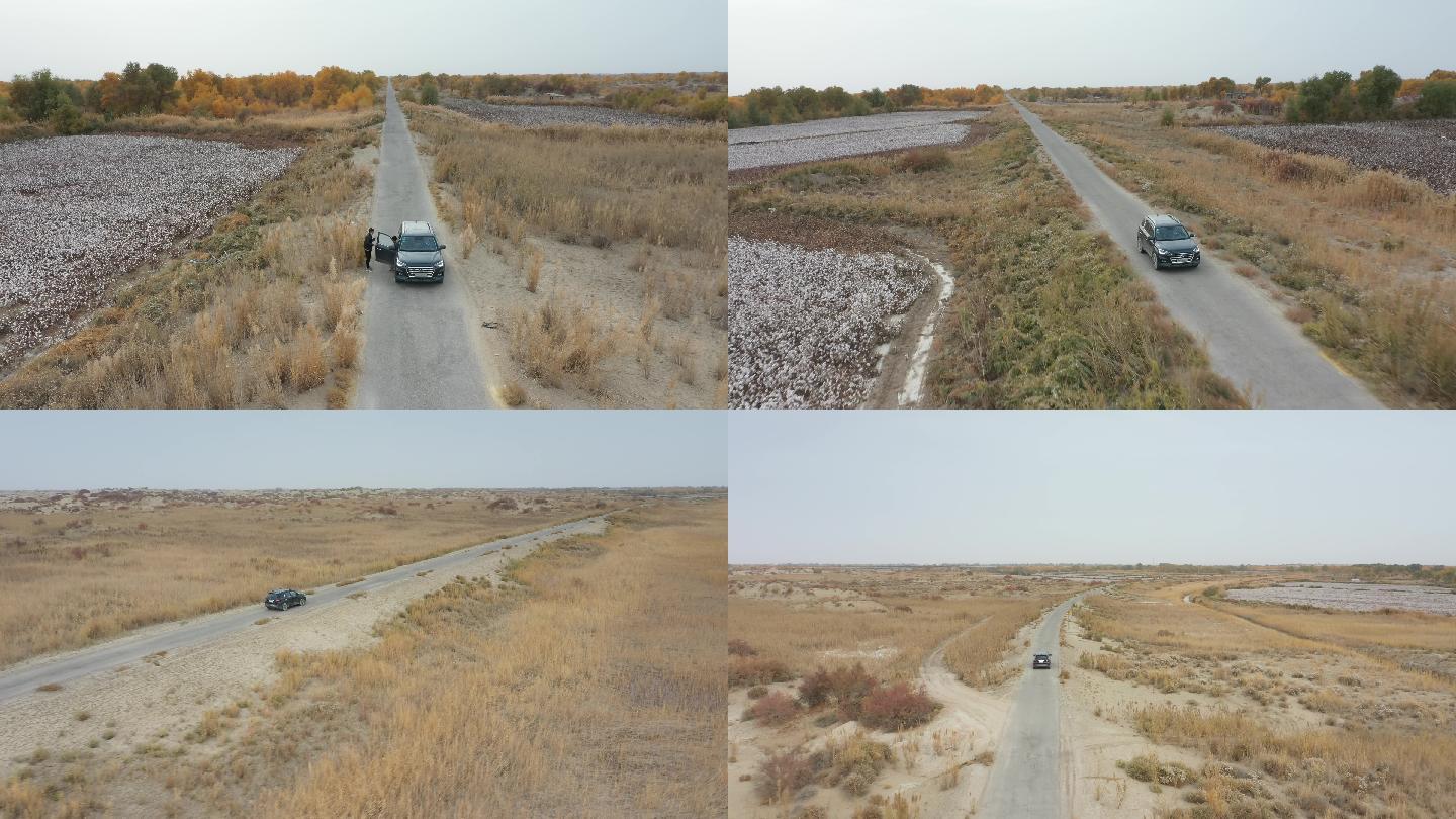 航拍新疆野外车公路荒凉秋天黄树叶
