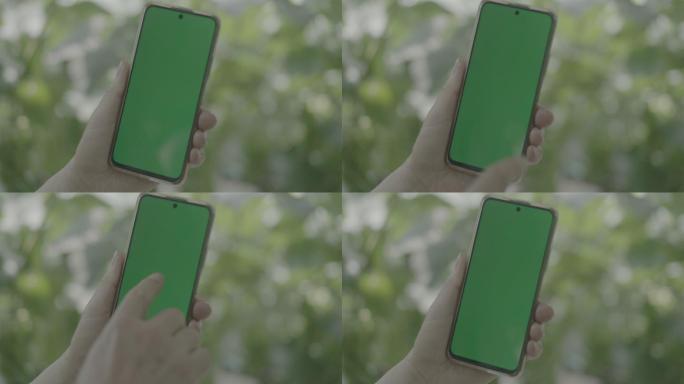 室外手机屏幕扣绿