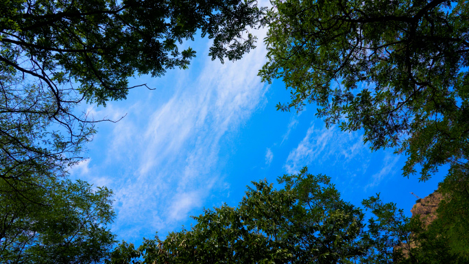 蓝天白云，一线天，树木旋转
