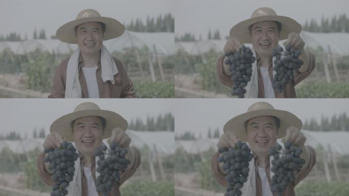 农民举着葡萄对镜头微笑丰收的喜悦升格近景