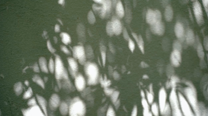 影子 白墙 光影延时 光影变化 光影素材