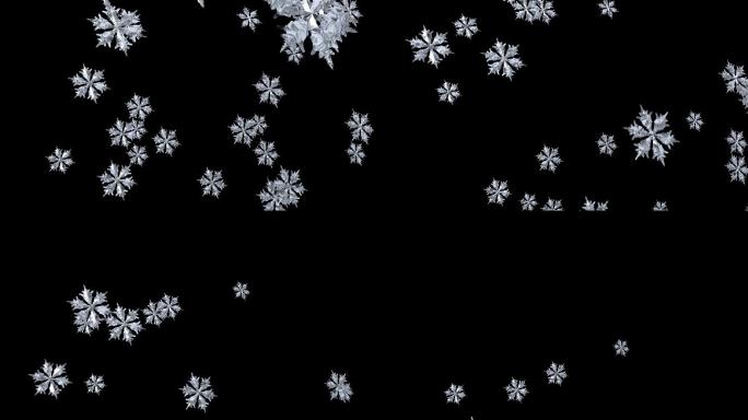 雪花下降动画特效3D白雪圣诞素材天冬季雪