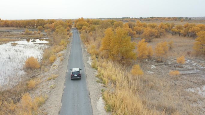 航拍  新疆库尔勒野外  车荒凉 秋季