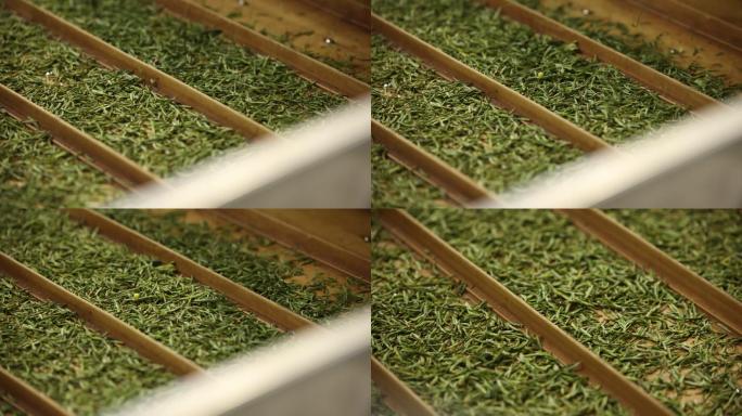 茶叶 绿茶 生产加工