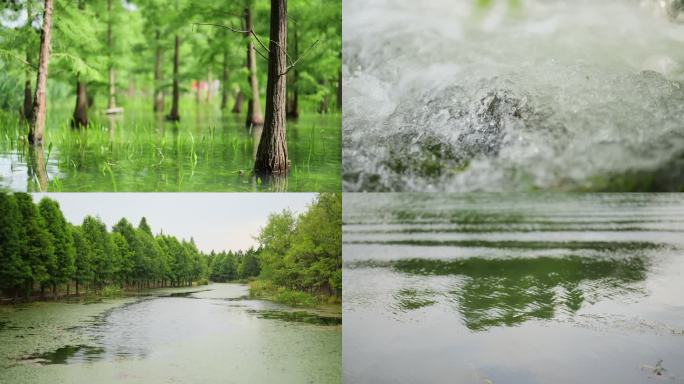 【4K高清原创】水上森林 河流 唯美空镜