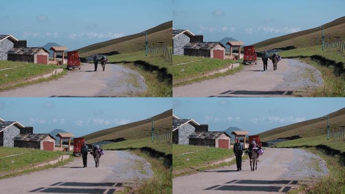 老人女人和马房屋内蒙古农村视频