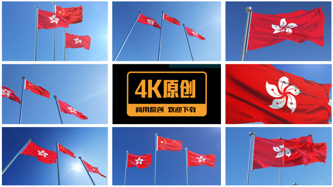 香港特别行政区区旗