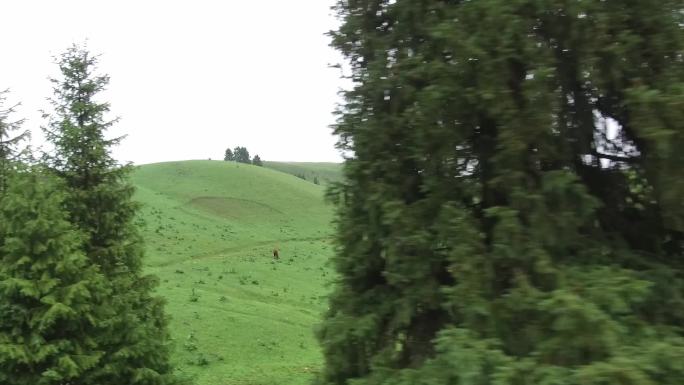 新疆道路行驶两侧山区草原风光视频