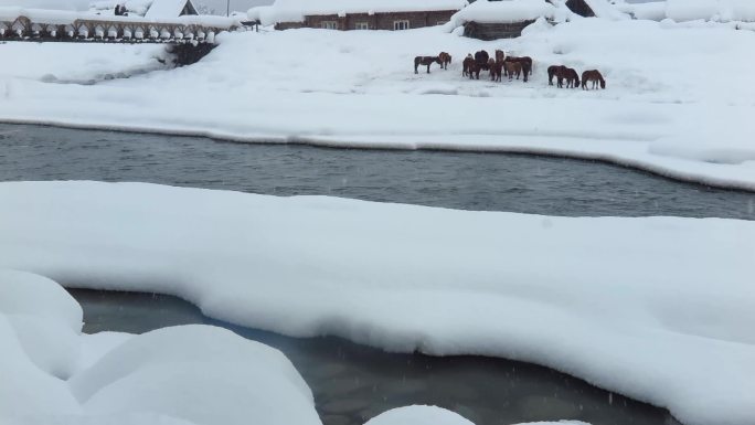 新疆冬季喀纳斯禾木村的雪景 高清30帧