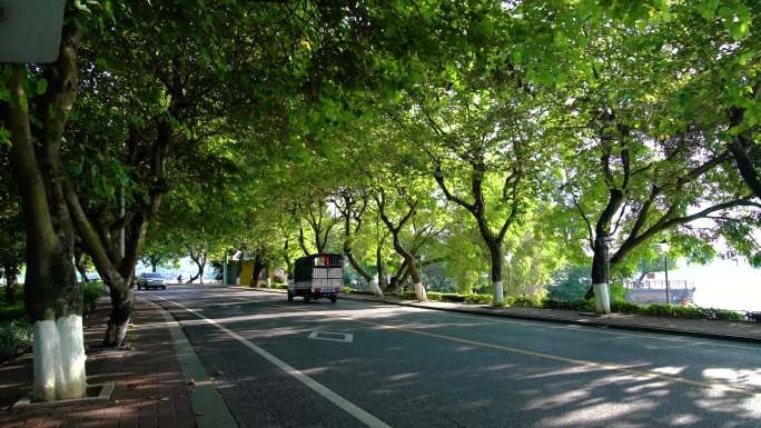 清晨 上班 道路 汽车01