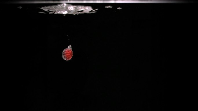 树莓在黑色背景下以超慢的动作落入水中