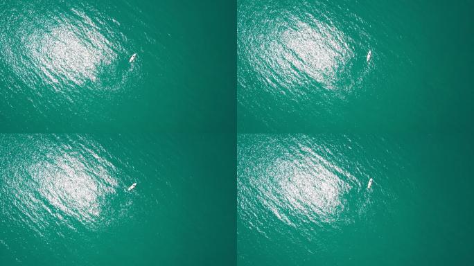 【4K原创】航拍俯拍一个人在海面上划船