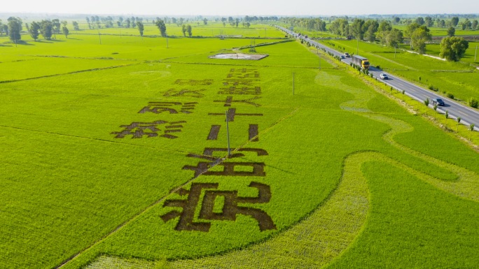 稻田二十大航拍