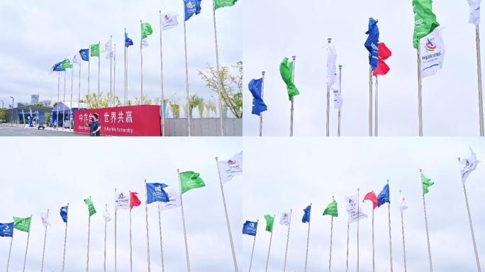中非博览会各方旗帜红旗