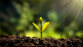 万物生长视频素材下载, 万物生长ae模板下载_光厂(vj师网)