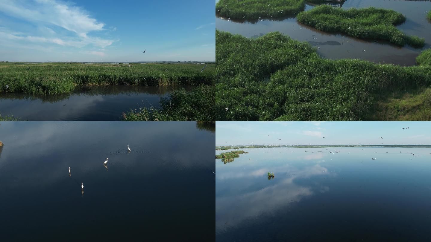 大庆湿地