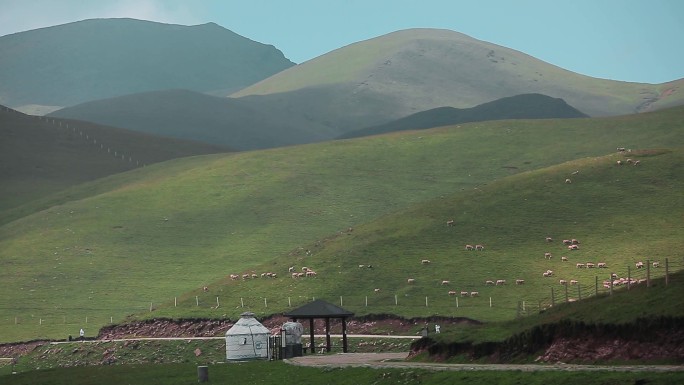 内蒙古牧羊区拍摄视频