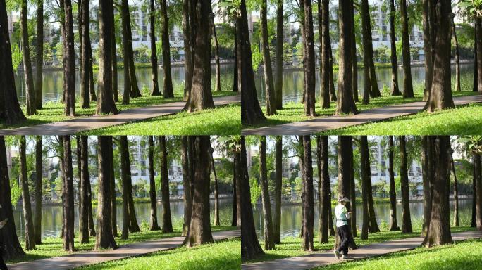 4K正版-实拍城市公园林荫小路