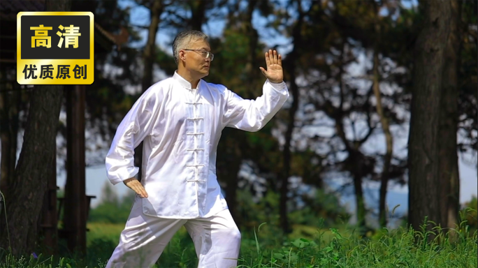 老年人打太极 公园锻炼晨练老年人健身运动