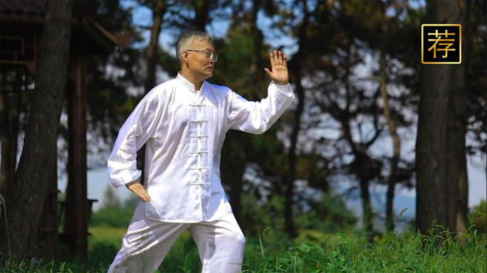 老年人打太极 公园锻炼晨练老年人健身运动