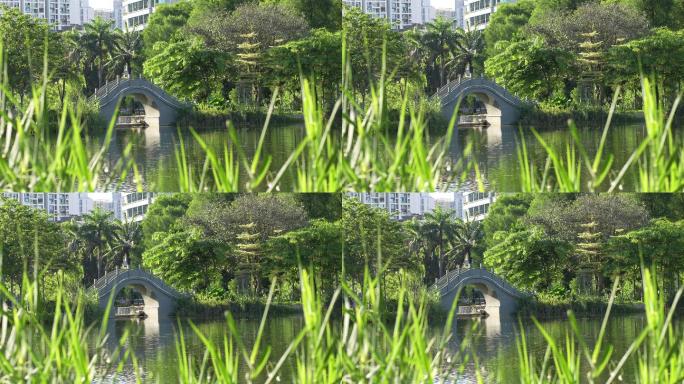 4K正版-实拍城市公园景观石桥湖泊