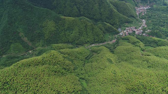 航拍江南山区竹山竹海竹林实拍原素材毛竹山