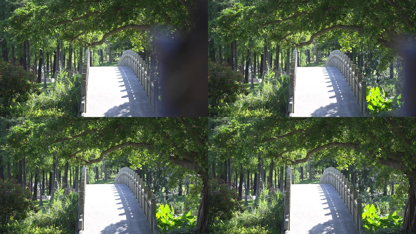 4K正版-实拍晴天阳光下的公园树荫石桥