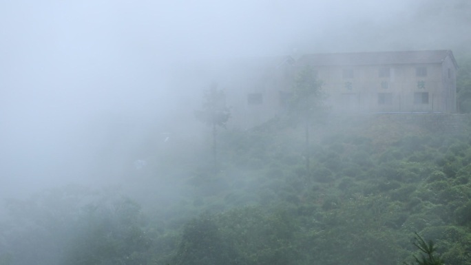 浙江诸暨东白山龙门顶茶场大雾茶山云雾弥漫