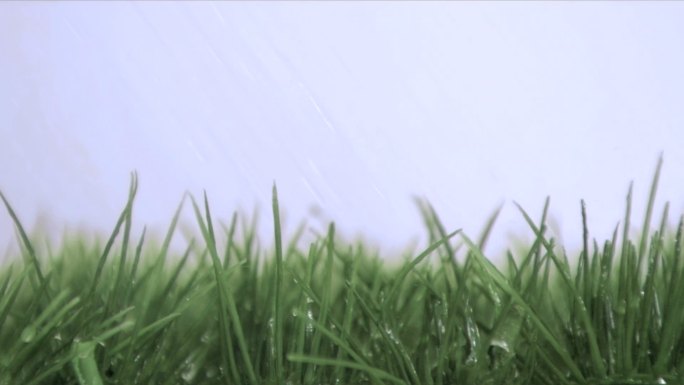 雨以超慢的动作落在草地上，映衬着蓝色的天空