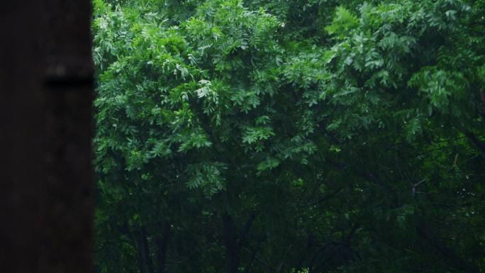 下雨 空镜，一共6个镜头