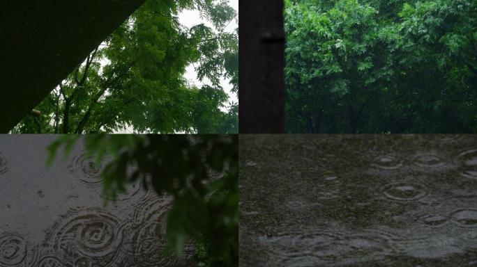 下雨 空镜，一共6个镜头