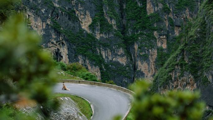 山间公路奔跑的女子