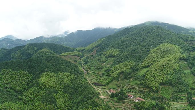 航拍江南山区竹林竹山竹海毛竹山实拍原素材