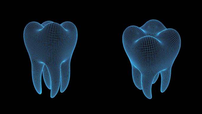 4K蓝色线框全息科技牙齿动画素材带通道
