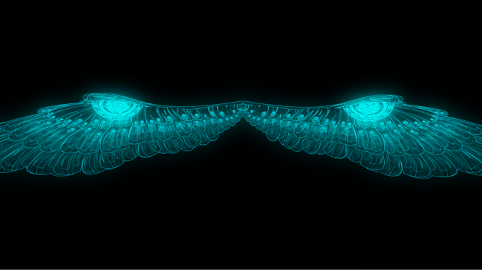 非常唯美的光线翅膀