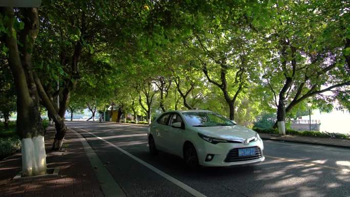 清晨 上班 道路 汽车