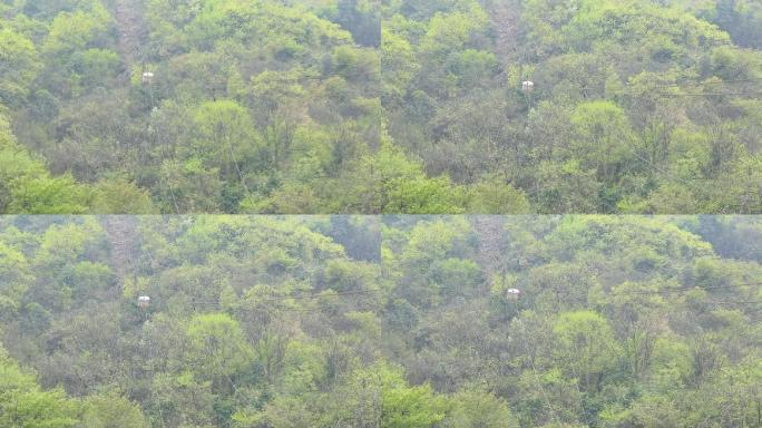 江南高山货运索道铁索运输货物交通高空