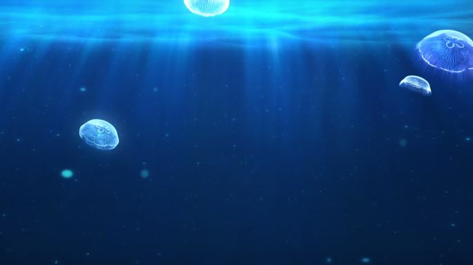 海底世界   水母 唯美大屏背景