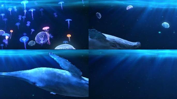 海底世界   水母 唯美大屏背景
