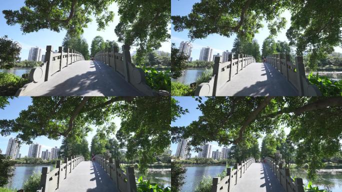4K正版-实拍深圳四海公园阳光树荫石桥