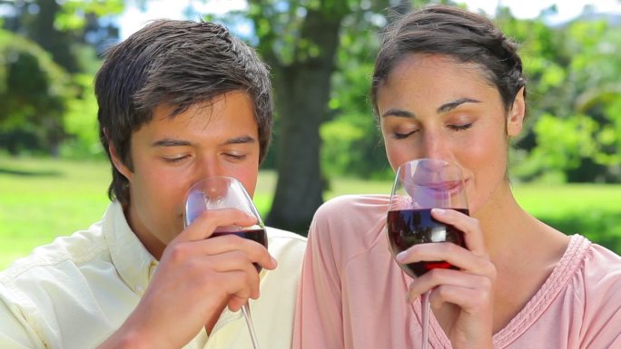 快乐的夫妇在乡村碰杯喝红酒