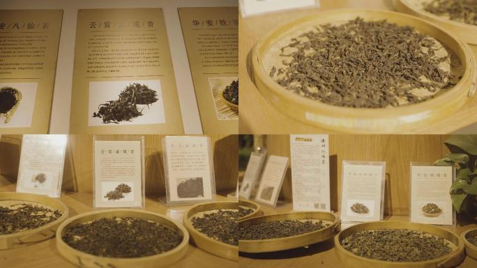 福建漳州名茶品种展览4K