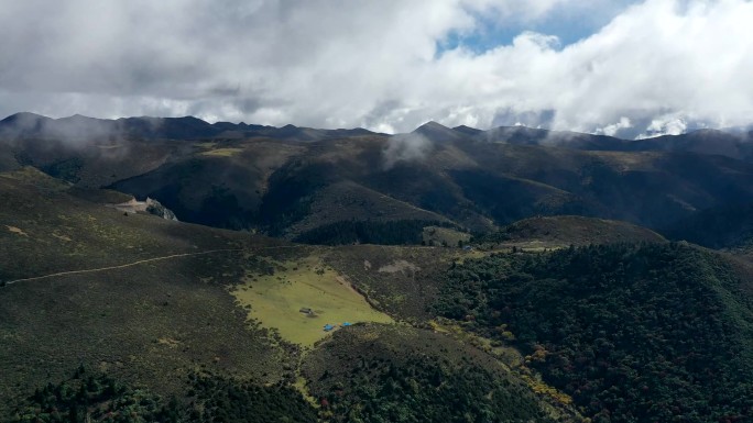 原创 四川凉山州木里县高山草甸森林风光