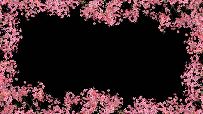 桃花树枝生长动画-带透明通道