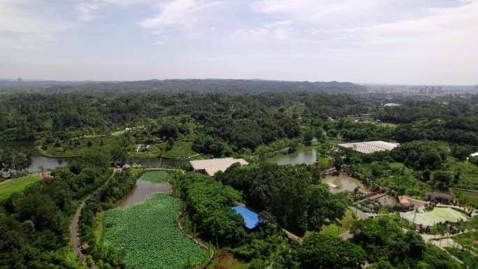 成都黄龙溪欢乐田园