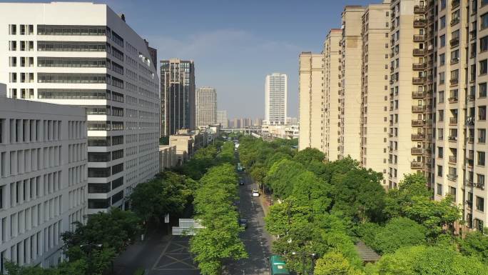 嘉定菊园新区平城路高楼大厦生态环境