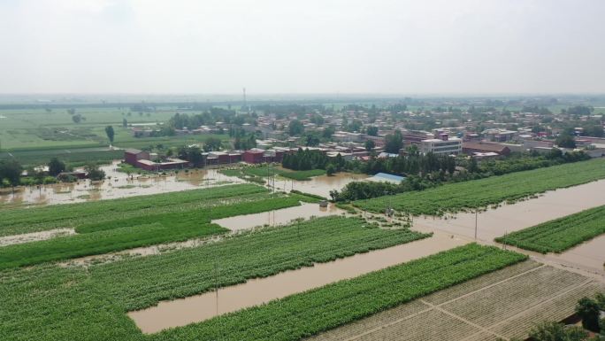 暴雨洪水导致农田受灾