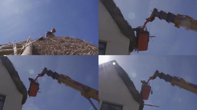 6条升格威海沿海海草房修缮劳动场面