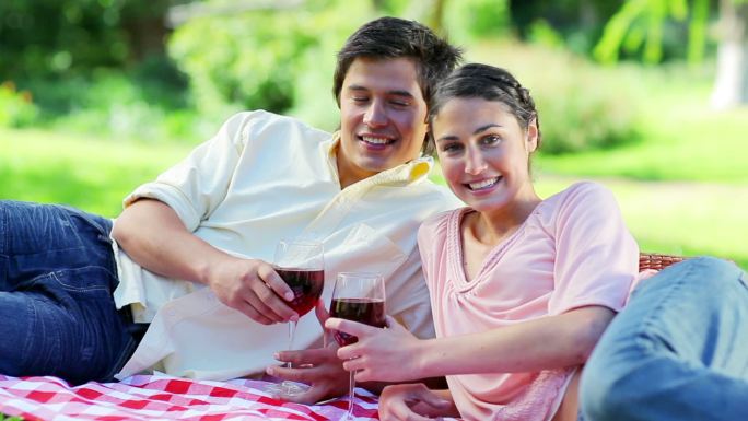 幸福的夫妇坐在毯子上，喝着红酒在公园里